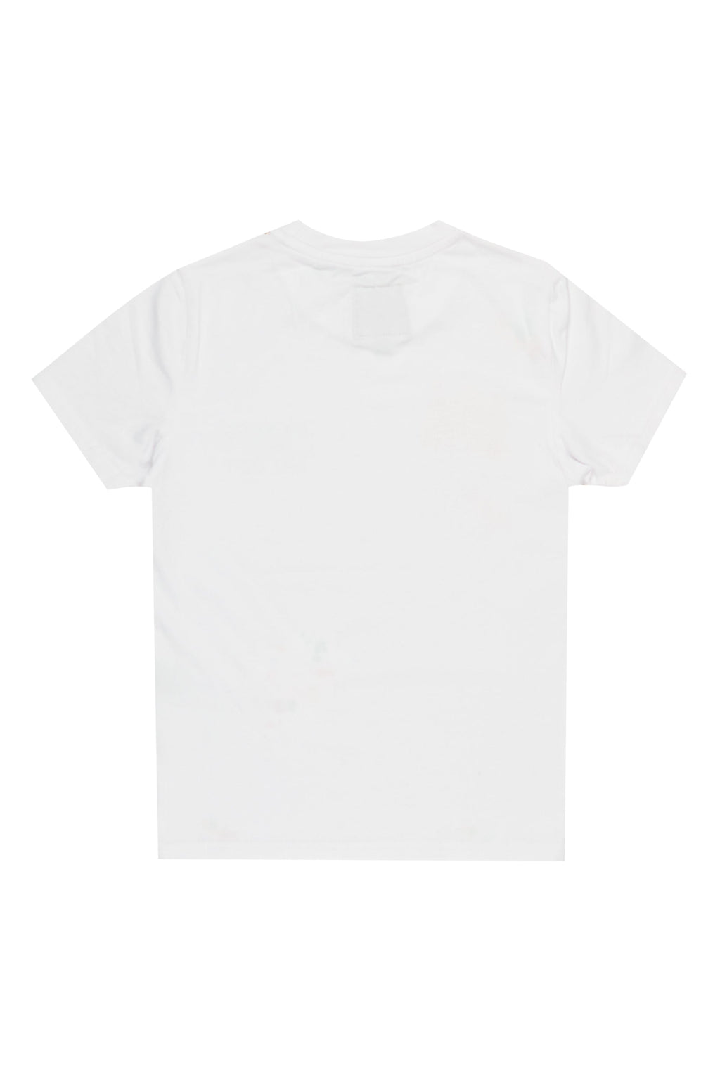Boys Palmer White Graphic T-Shirt