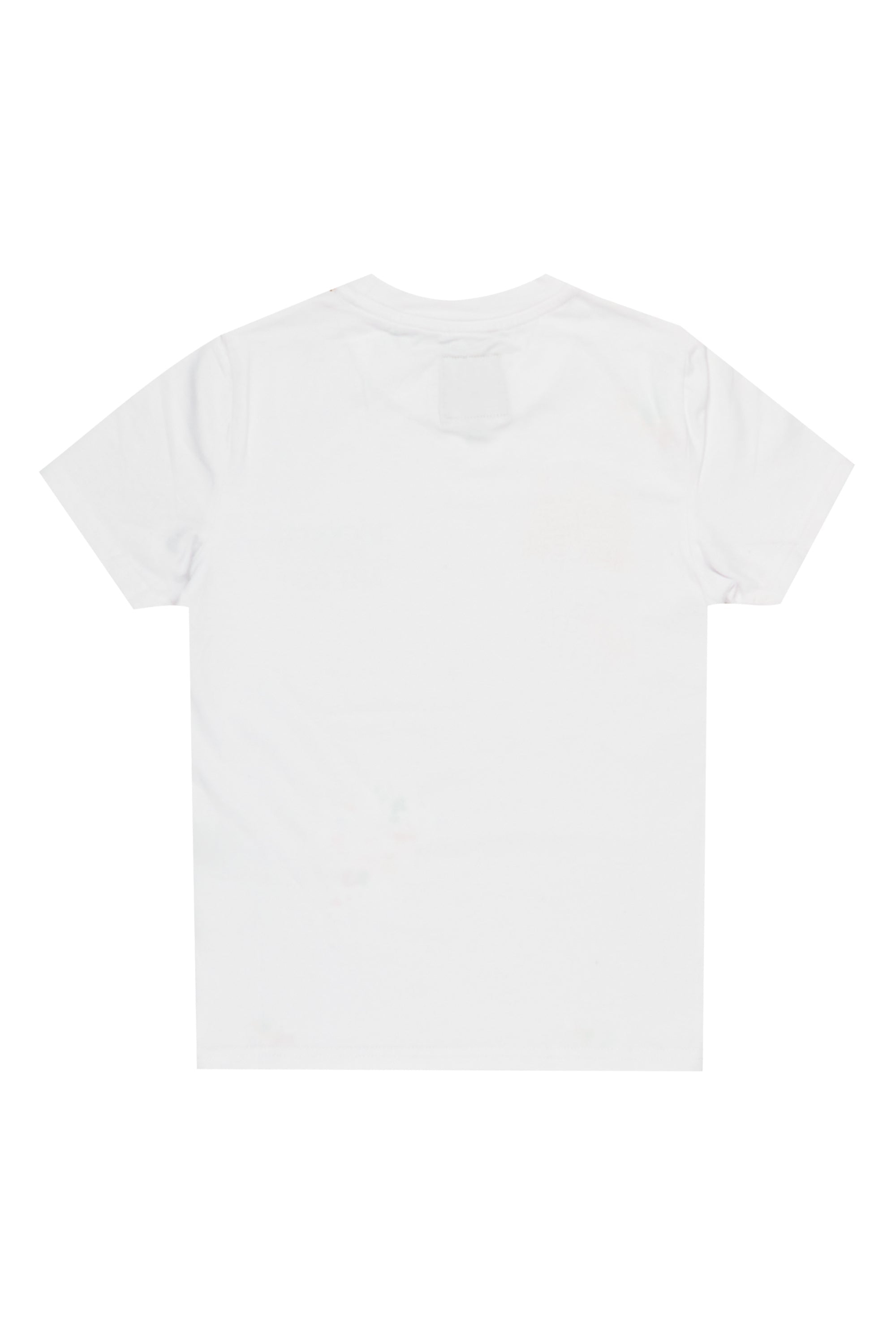 Boys Palmer White Graphic T-Shirt